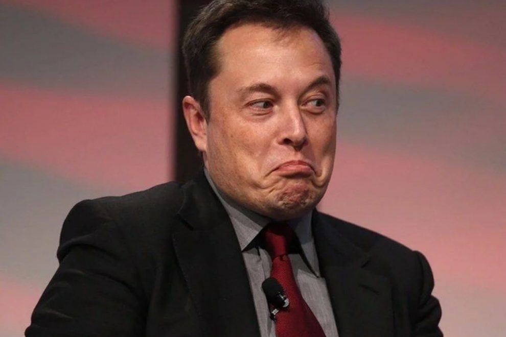 elon-musk-shiba-twitter